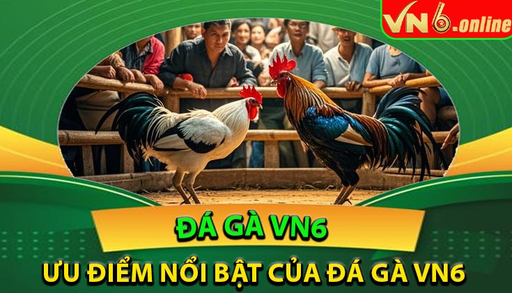 Ưu điểm nổi bật của đá gà VN6