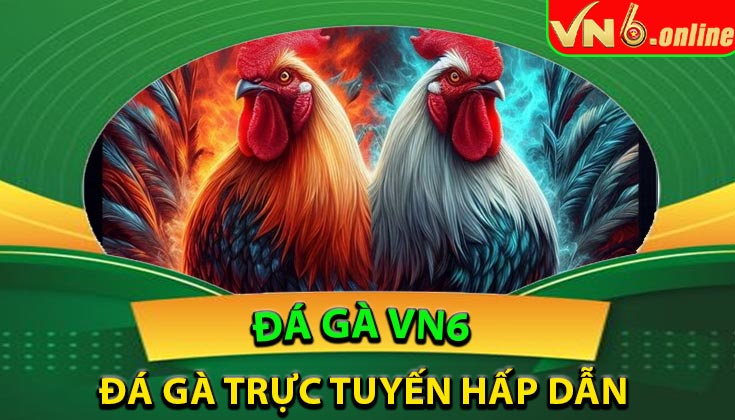 Đá Gà VN6